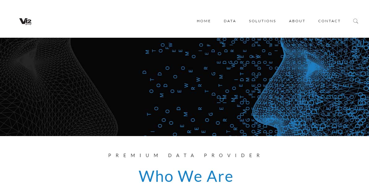 plataformas DMP: V12 Group