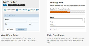 crea formularios efectivos en wordpress