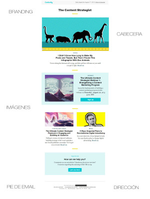 elementos clave para diseñar un email eficaz