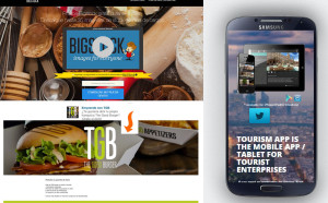 conversiones desde landing pages