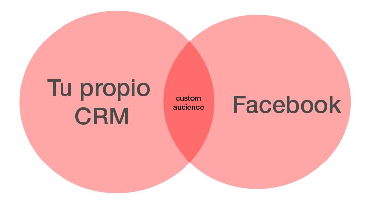 facebook custom audience