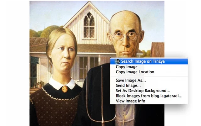 extensiones de Chrome para marketing digital Tineye