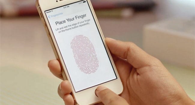 Lector de huella digital