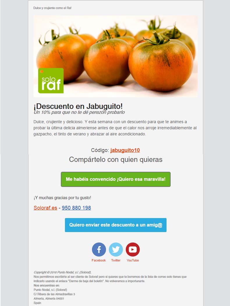 newsletters personalizadas