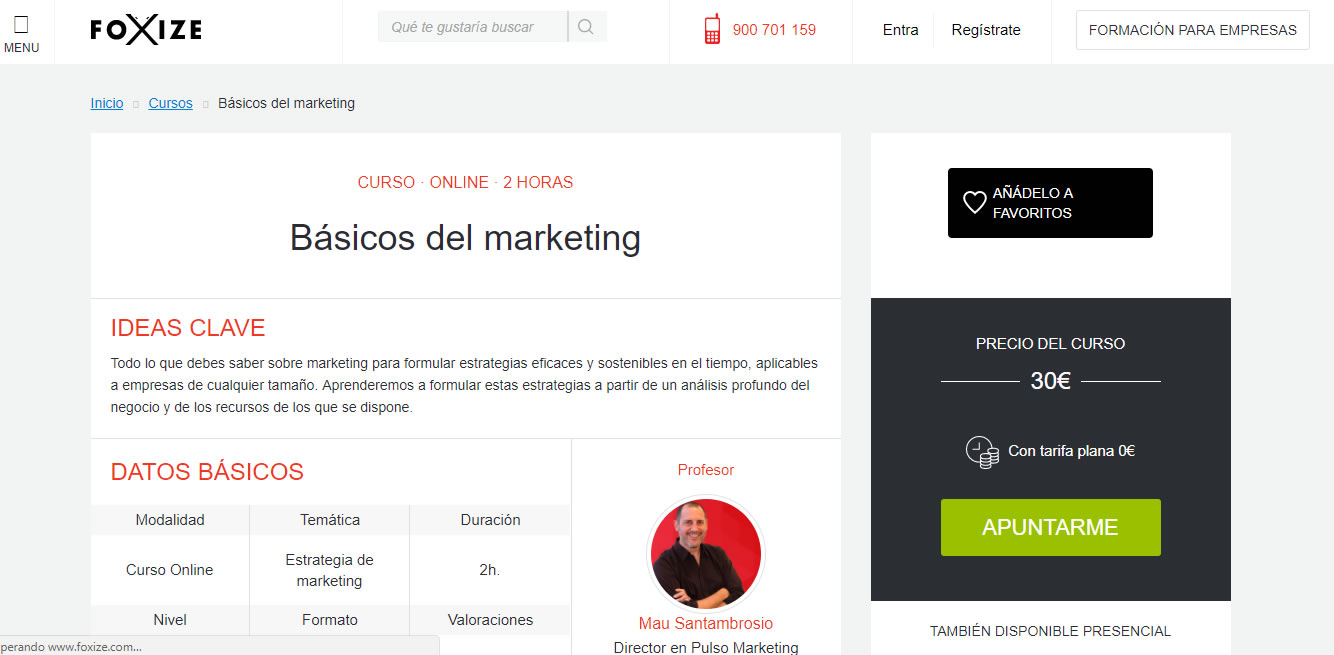 Básicos del marketing en Foxize