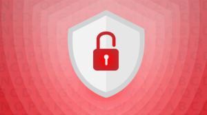 proteger los datos de tu base de datos