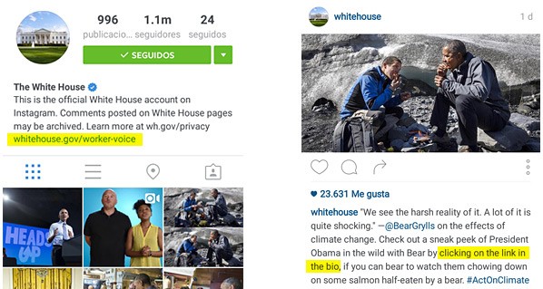 obtener tráfico con la bio en instagram
