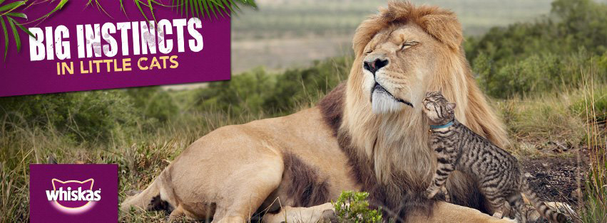 calendario marketing 2018 para Argentina