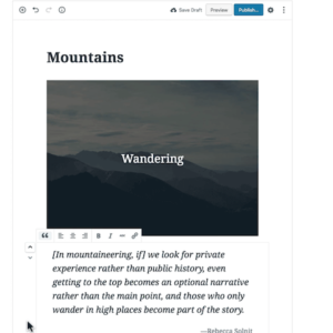 Gutenberg Wordpress editor