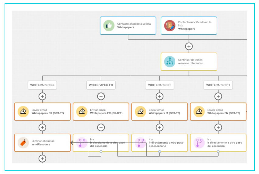 marketing automatizado para empresas con MDirector Marketing Automation