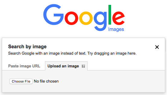 visuales tendencias del Marketing Digital en 2019