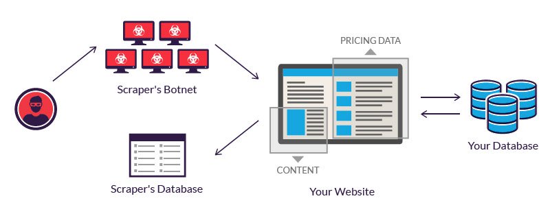 Qual è il sito Web di raschiatura