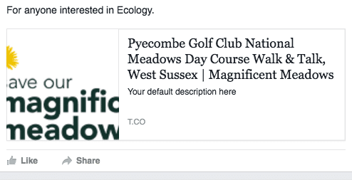 Open Graph y SEO predeterminado