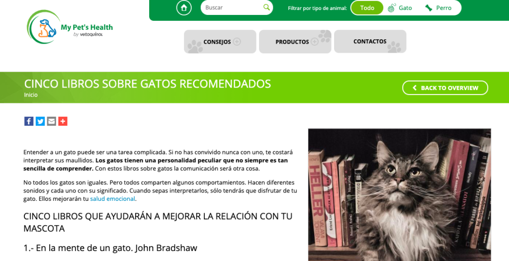 blog de estrategia de contenido