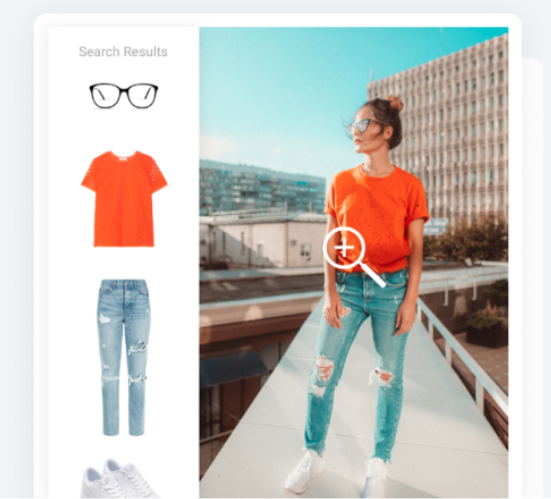 Visual Search visual