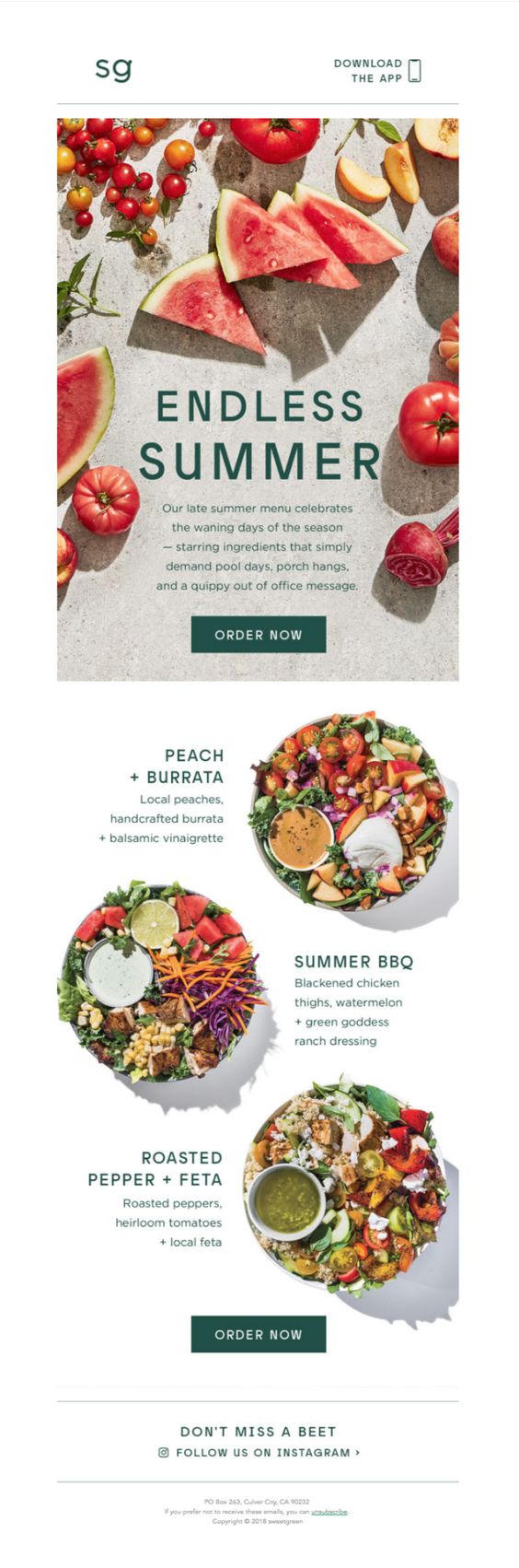 diseñar los mejores emails para verano zigzag