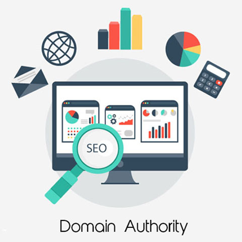 Autoridad de dominio