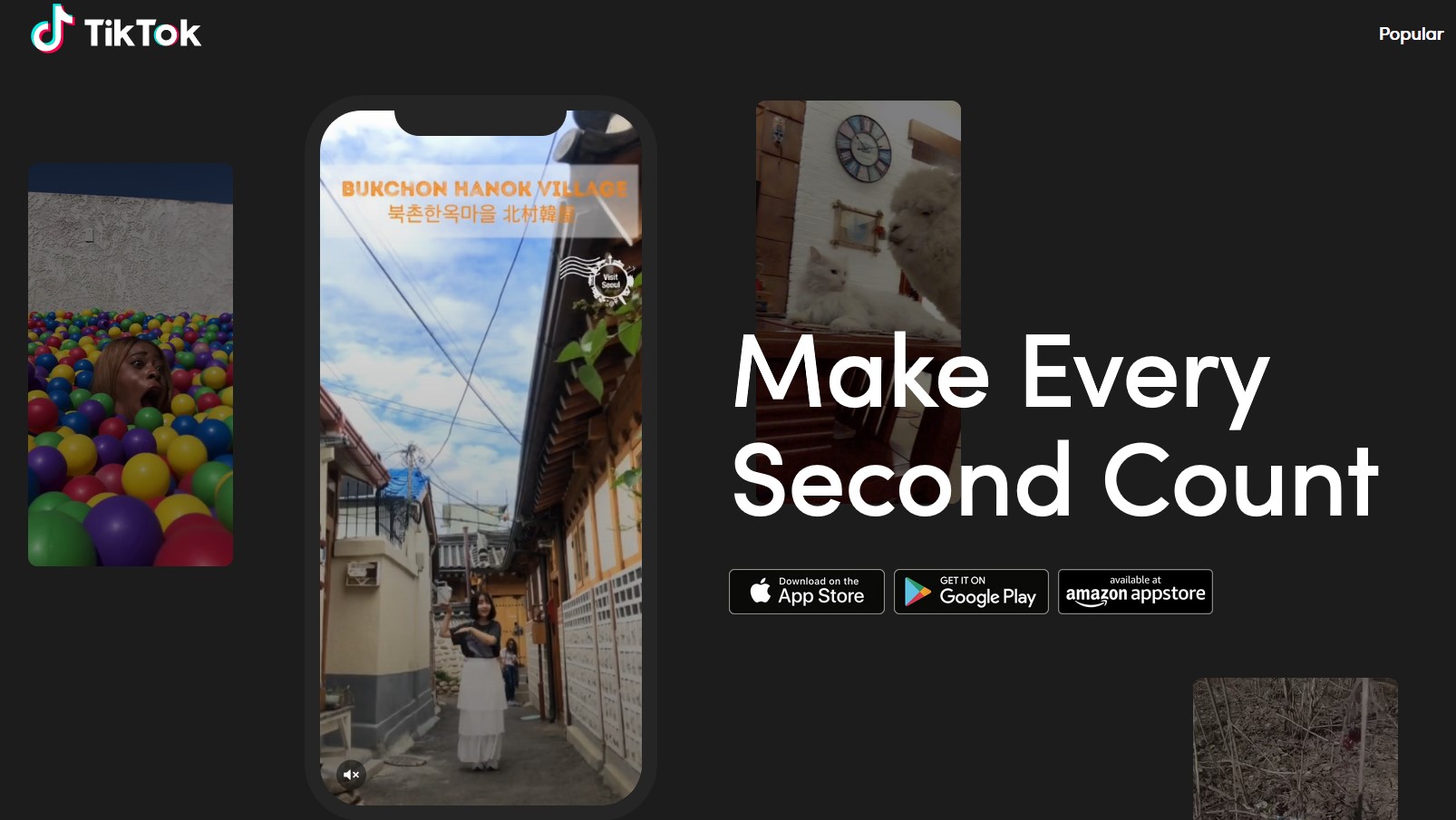 La audiencia de Tik Tok