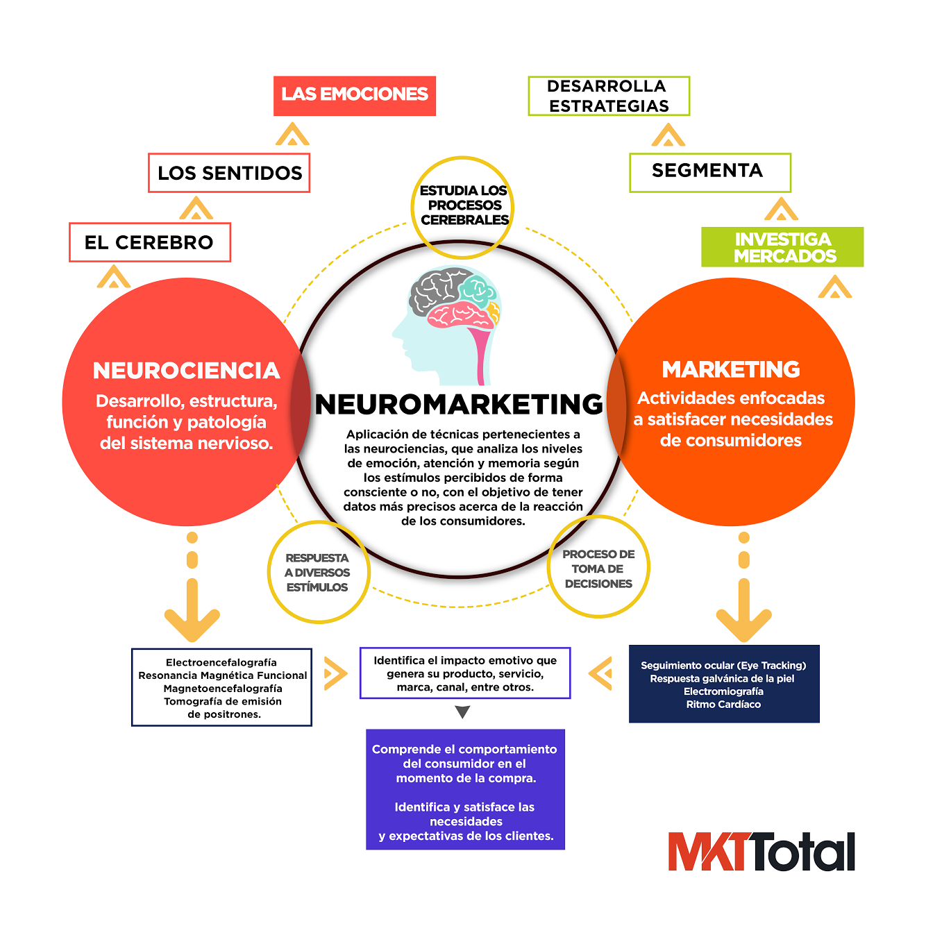 Qué es el Neuromarketing