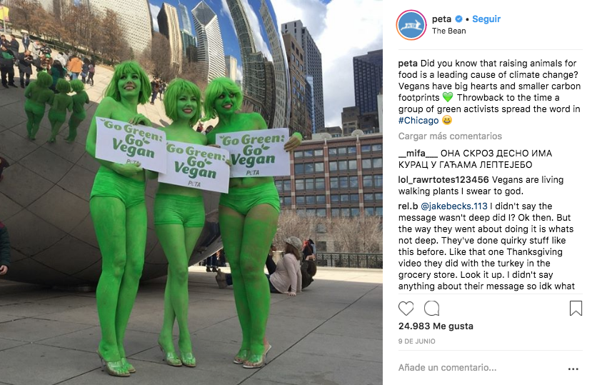 marketing para OSC: Instagram