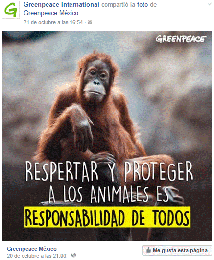 marketing para OSC: Greenpeace