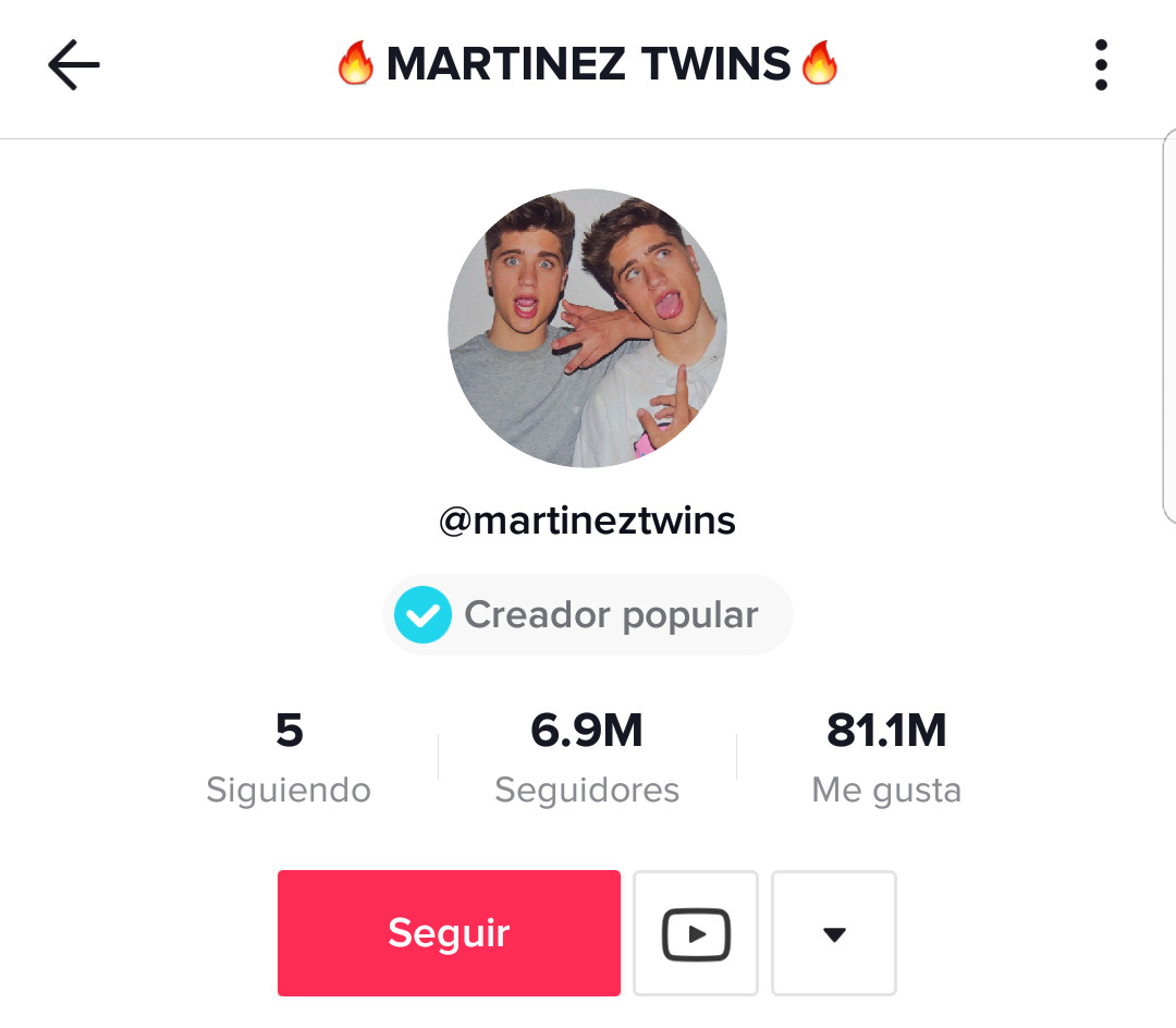 Martínez Twins