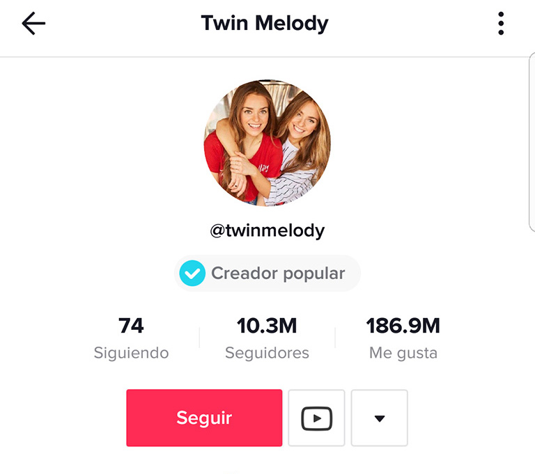 Twin Melody