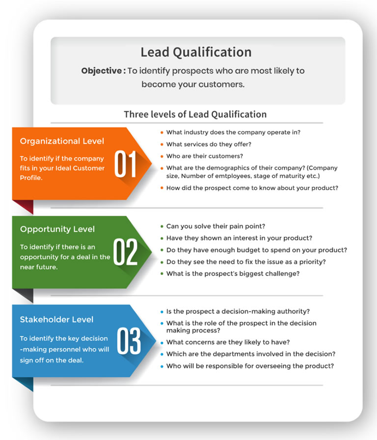 Lead Management: Calificación
