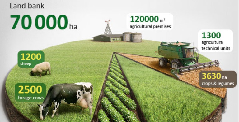 Estrategias de backlinks con infografías