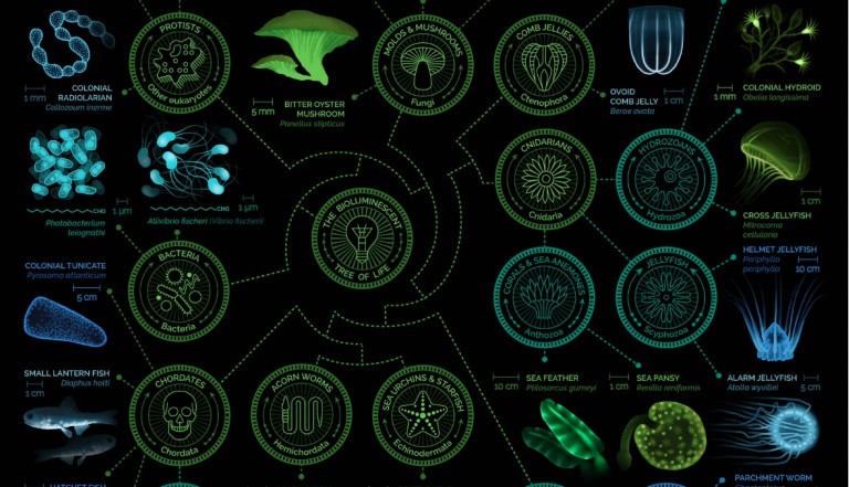 El color para transmitir emociones
