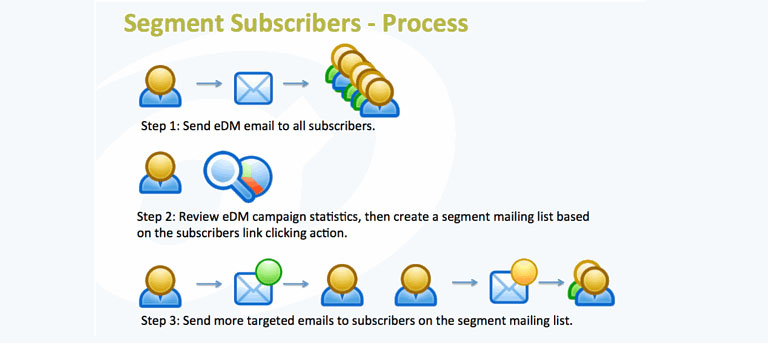 Proceso de segmentación de suscriptores