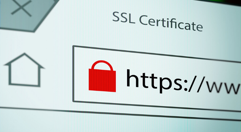 Omitir el certificado SSL