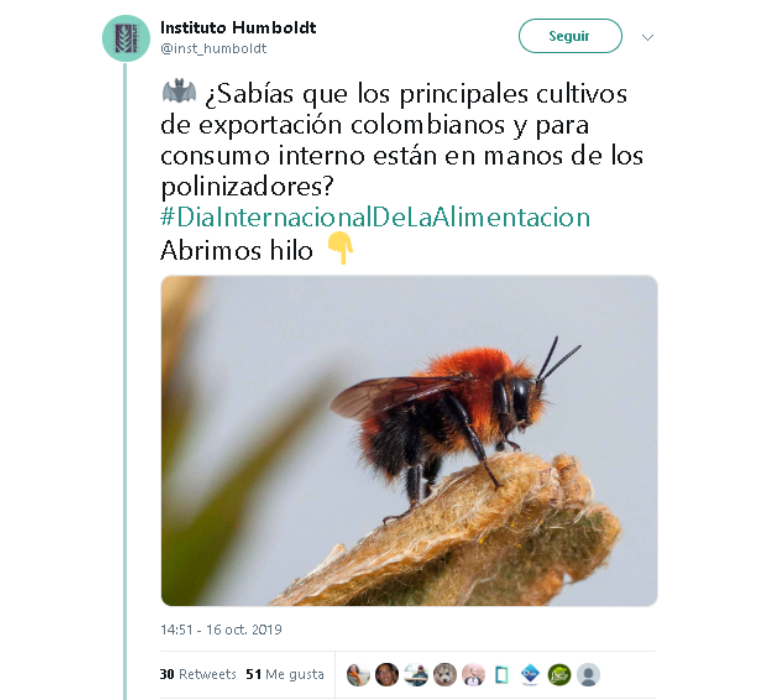captions que atraigan en redes sociales