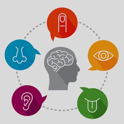 ejemplos de campañas marketing sensorial