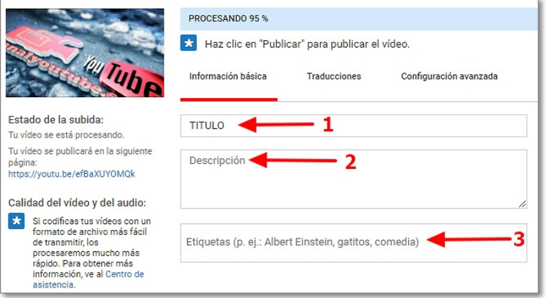 Tips para tu campaña de lead generation en YouTube: enfócate en SEO