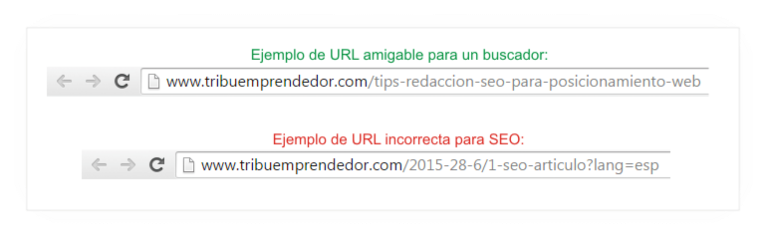 Seleccionar que debe indexar Google