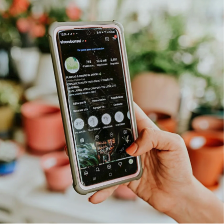 Cómo optimizar el feed Instagram (Freepik)