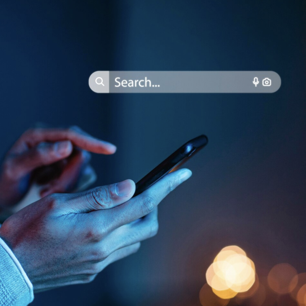 interfaz de motor de búsqueda